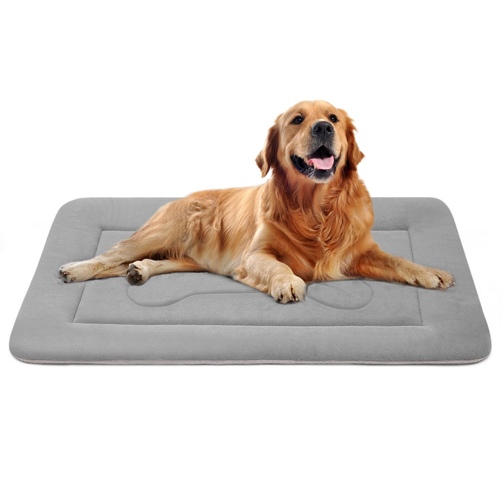 JoicyCo large dog bed plush surface for cozy lounging