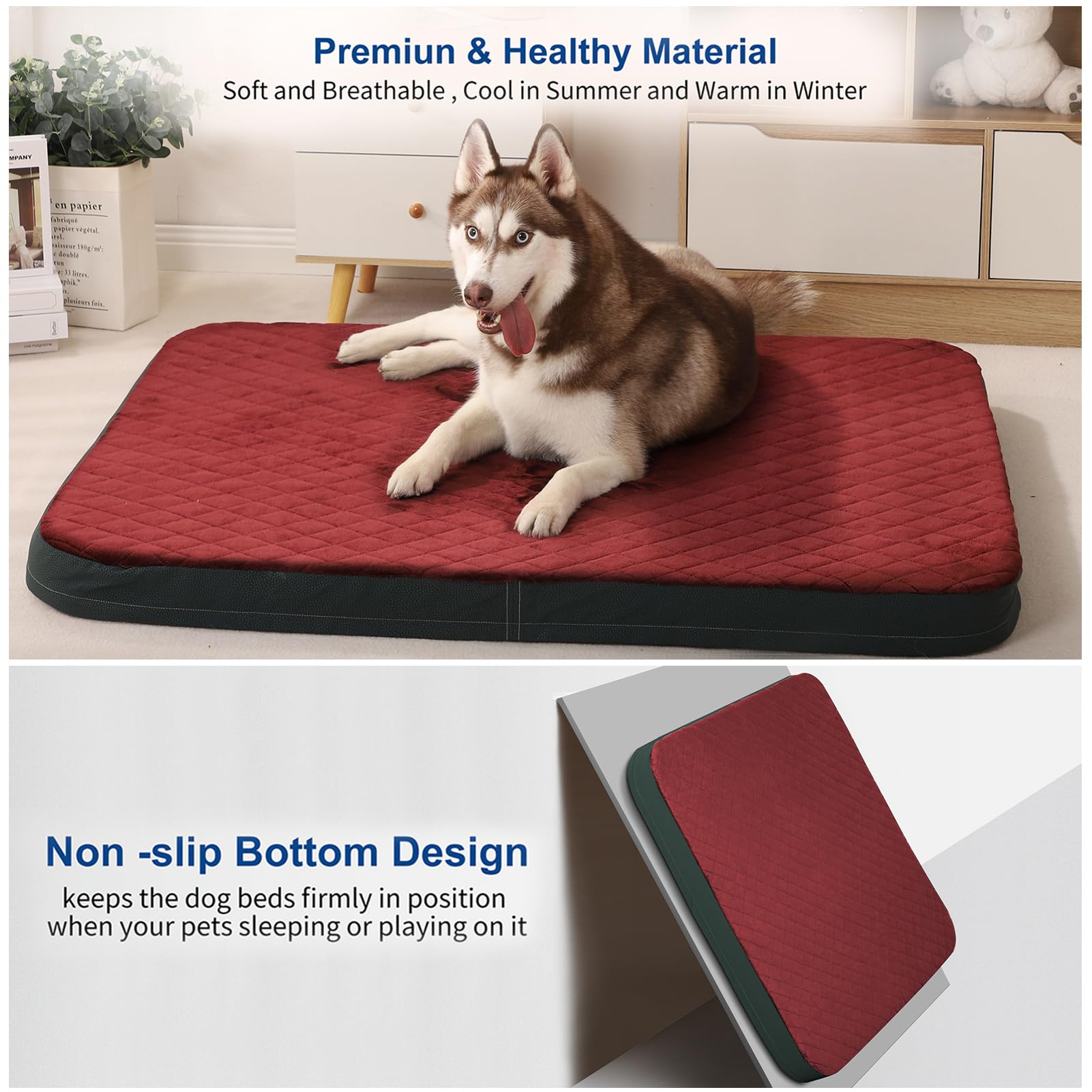JoicyCo large-bed offers multiple sizes for different dogs and spaces