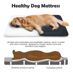JoicyCo washable crate bed ready for easy cleaning