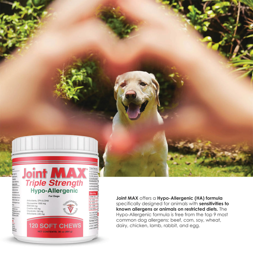 Joint MAX bottle on counter—convenient USA-made joint support for busy owners.