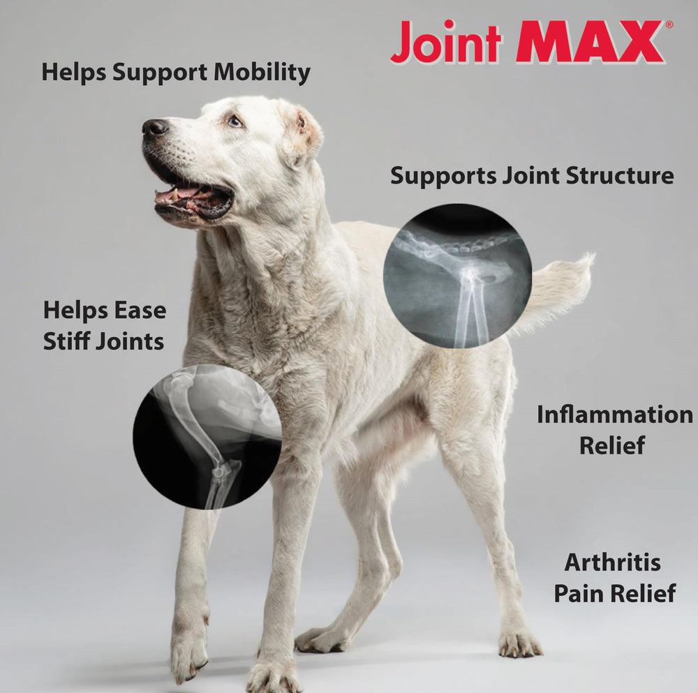 Joint MAX ingredients glucosamine chondroitin EPA DHA—comprehensive joint care and mobility benefits.