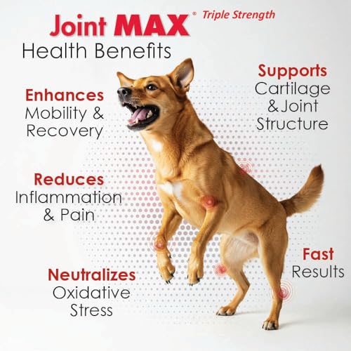 Joint MAX TS dog arthritis-support visual—mobility-friendly joint care concept.
