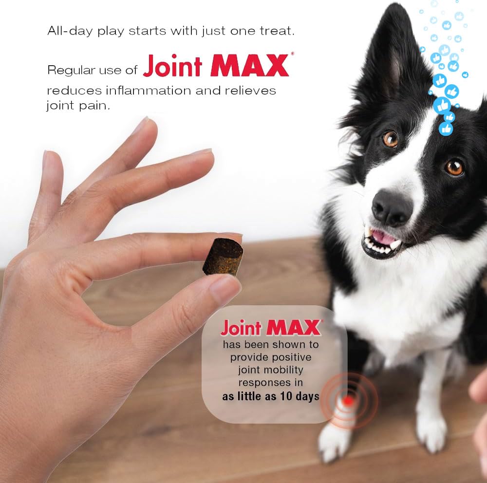Joint MAX TS glucosamine-chondroitin panel—foundation for joint structure.