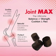 Joint MAX TS label detail—shows core joint-support ingredients.