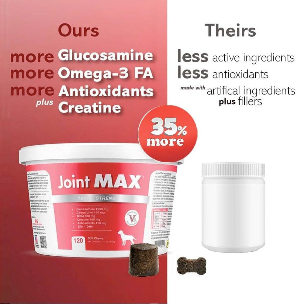Joint Max TS MSM and hyaluronic acid highlight lubrication support