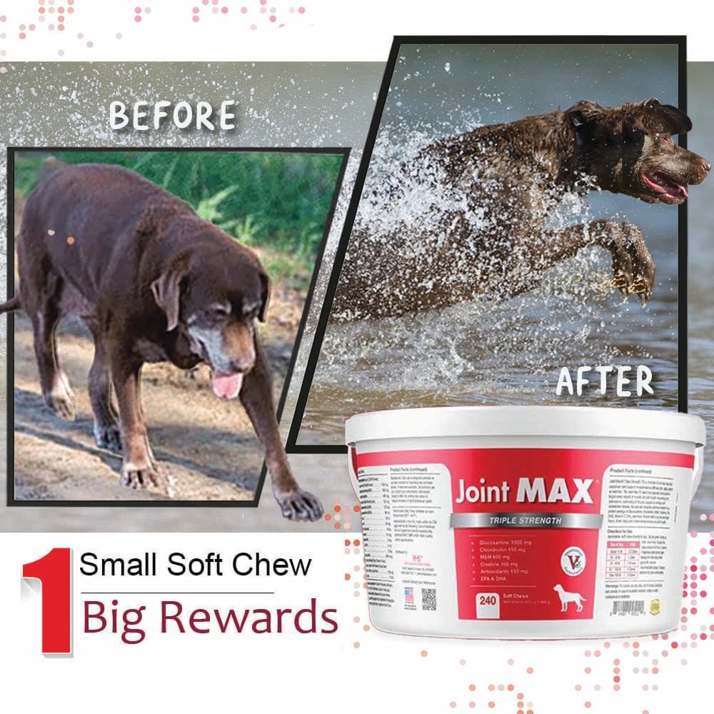 Joint MAX TS MSM ingredient chip—tissue support for flexibility.