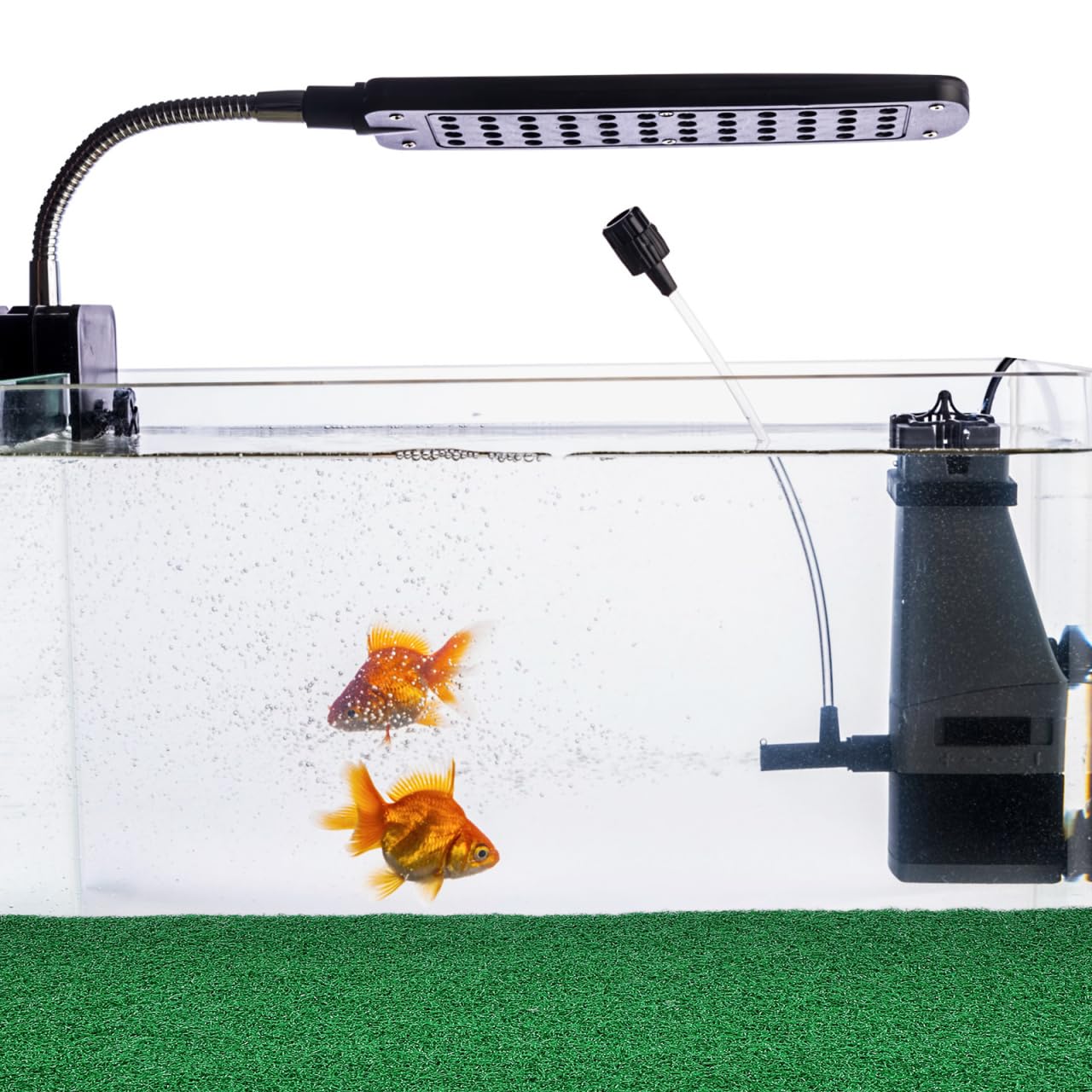 jojofuny easy-clean design promotes quick rinsing and hygienic tank setup.