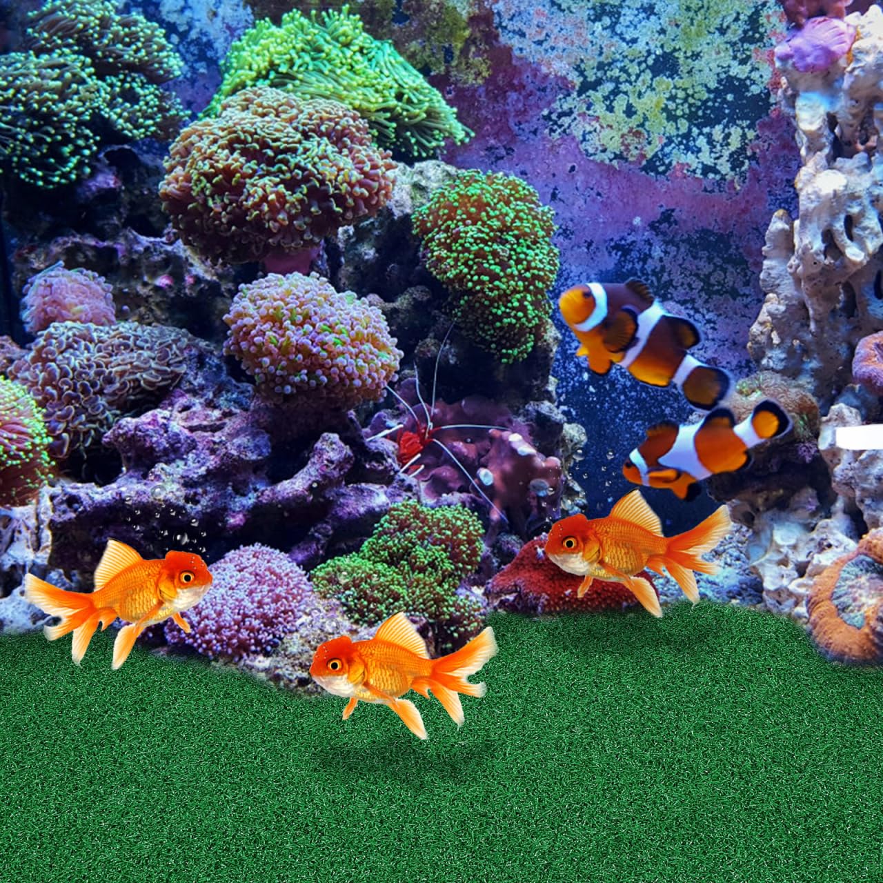 jojofuny realistic design enhances aquarium aesthetics and natural feel.