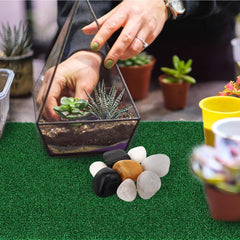 jojofuny turtle ramp terrace with easy-clean drainage holes for quick drying.