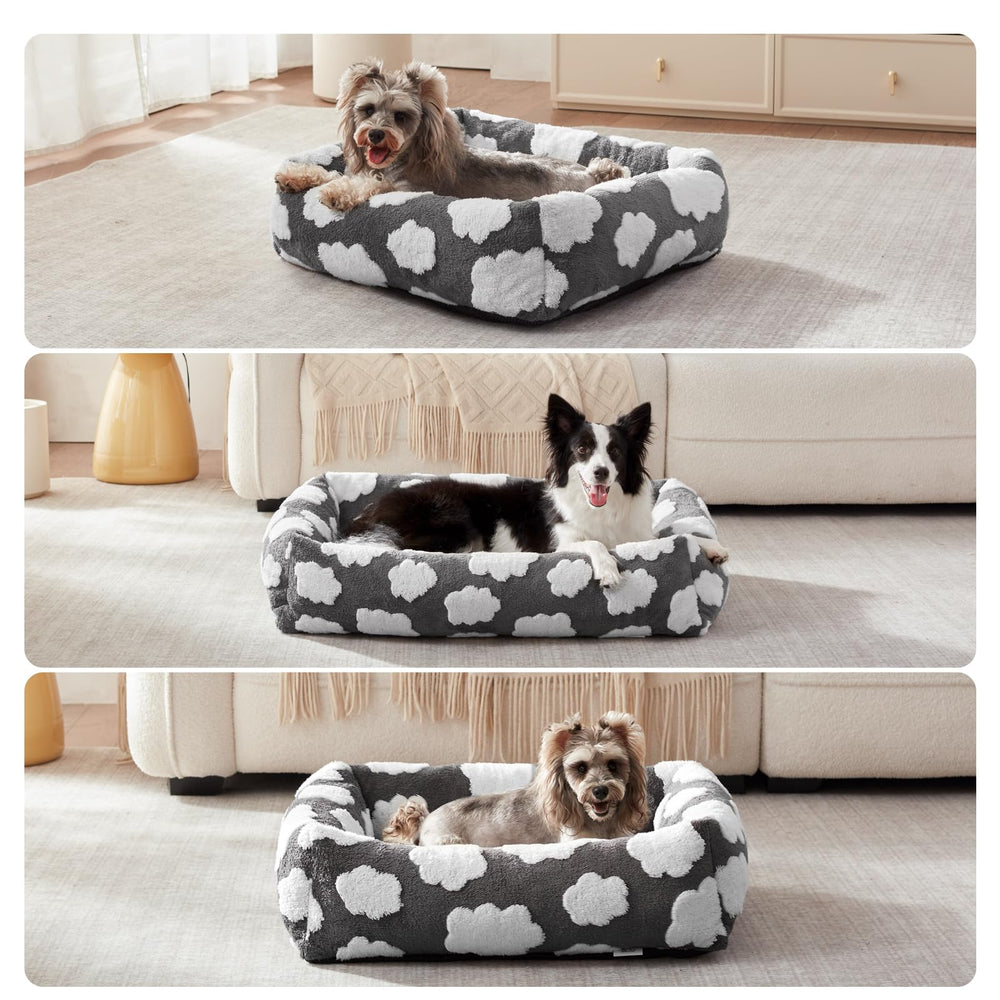JOEJOY size chart image showing S to XL options for pets