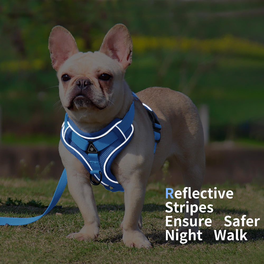 Jolifield breathable mesh padding close-up highlights lightweight comfort for year-round wear.