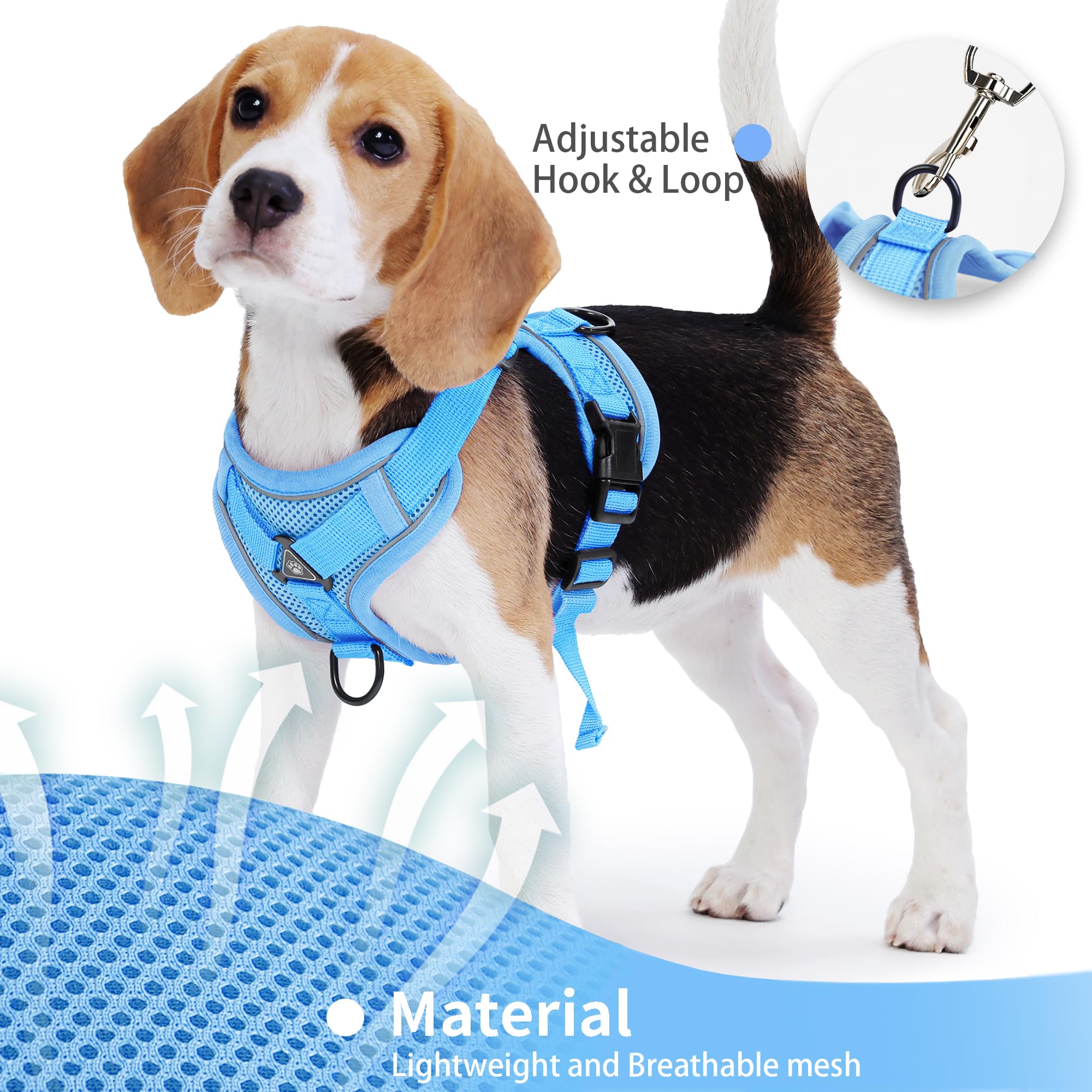 Jolifield 5ft leash swivel image showcases tangle-free training and secure control.
