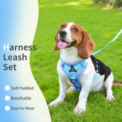 Jolifield No-Pull Harness back-clip image highlights rear leash point for casual strolls.