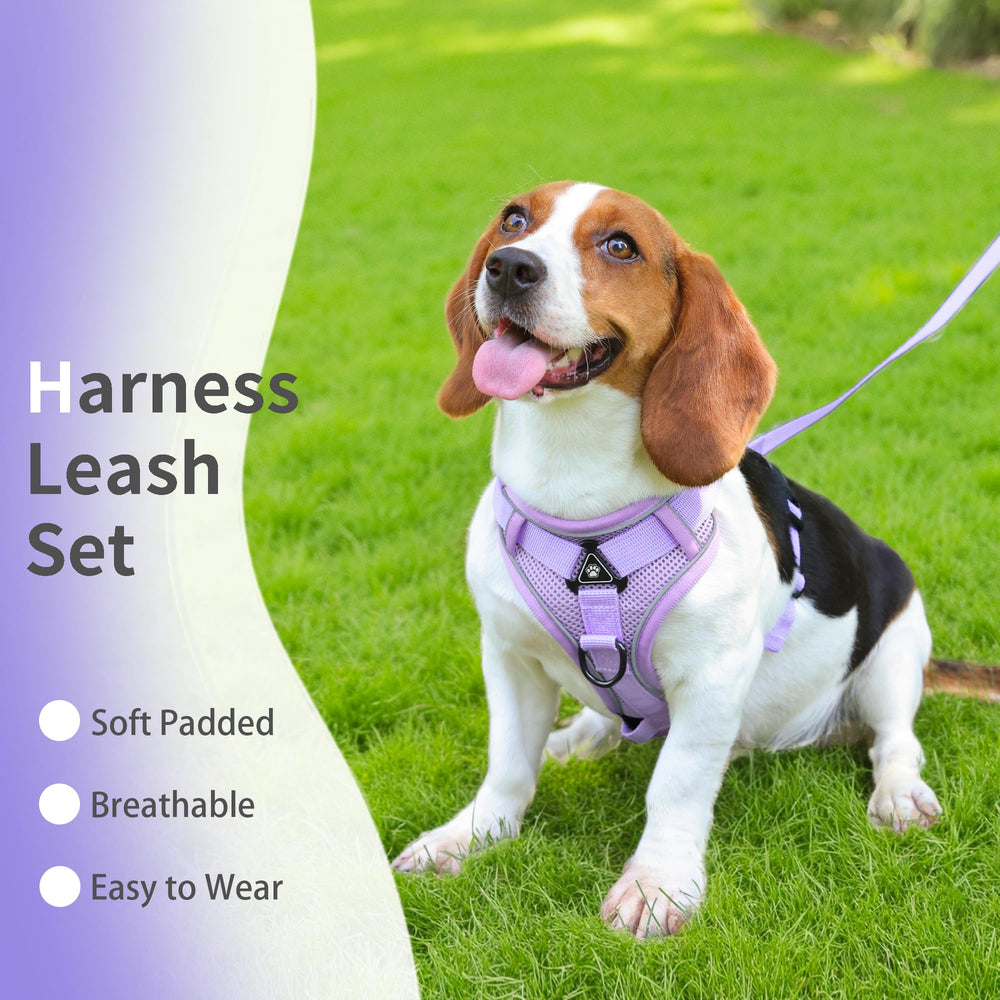 Jolifield No Pull Dog Harness back D-ring for casual walks with easy leash attachment.