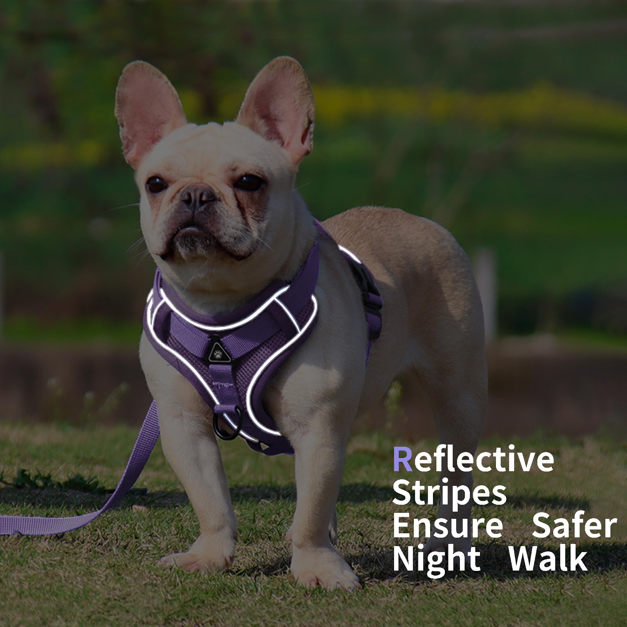 Jolifield No Pull Harness breathable mesh and padding keep pets cool and cozy all day.