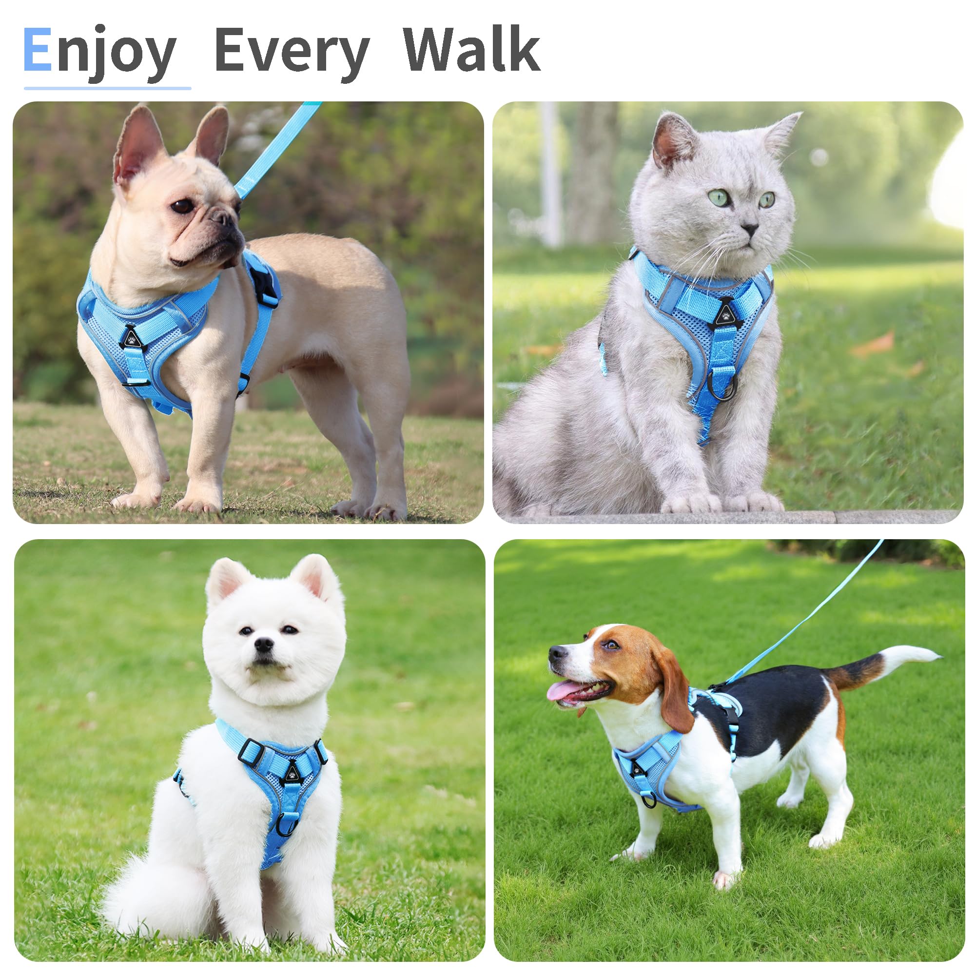 Jolifield blue-sized vest on dog illustrates secure fit and easy adjustability.