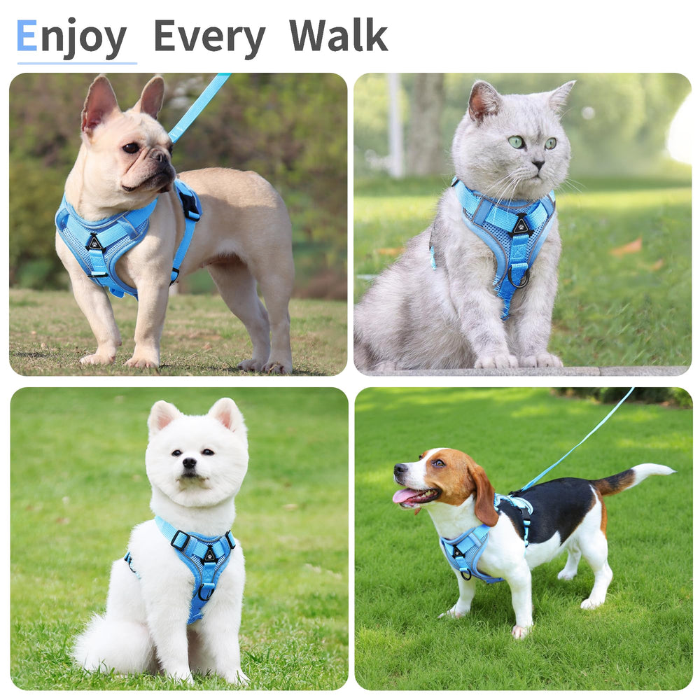 Jolifield blue-sized vest on dog illustrates secure fit and easy adjustability.