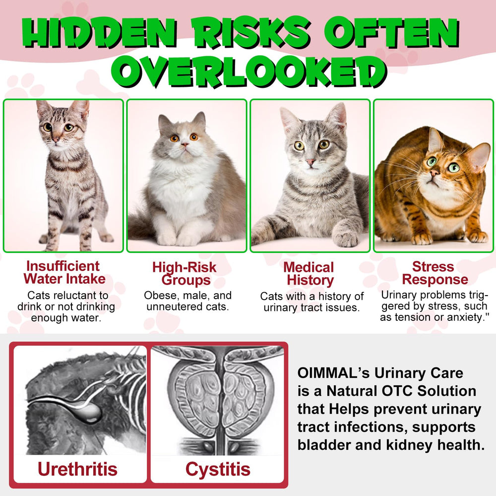 Jollifish cat urinary care usage with treats shows flexible administration options.