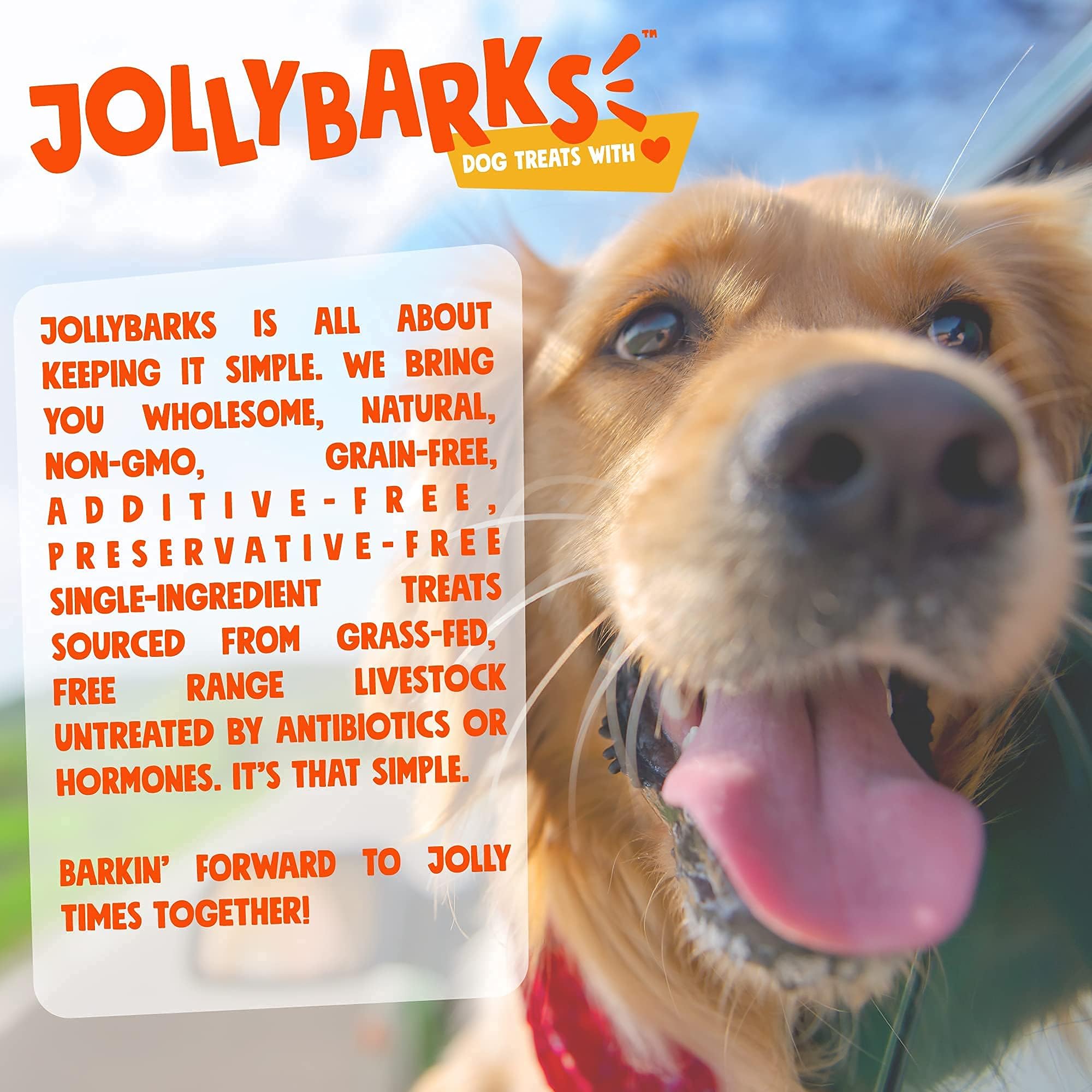 Jolly Barks bully sticks 6in assembly shot for multi-puppy sharing
