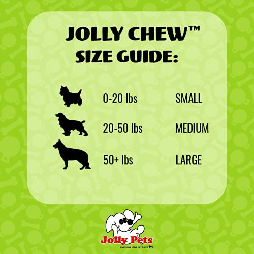 Jolly Pets Jolly Bone Medium Blue ridges massage gums during chew play