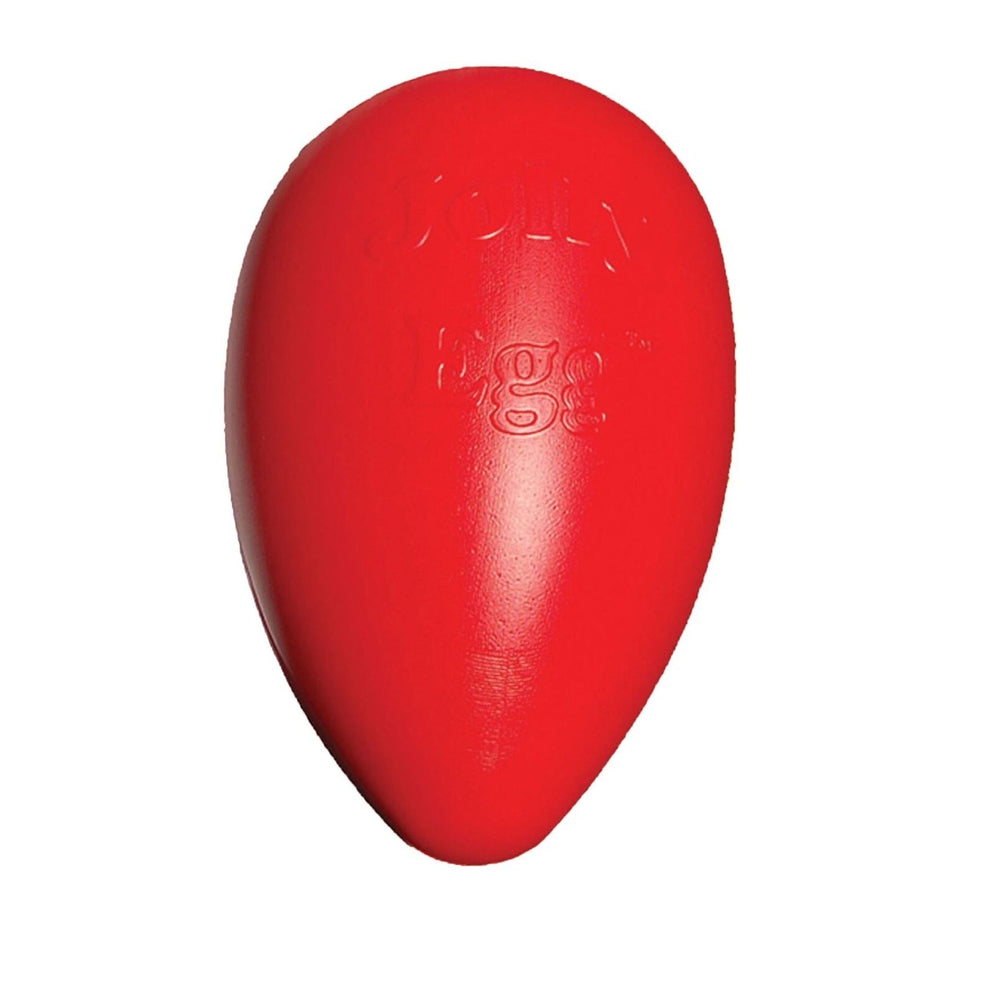 Jolly Egg purple closeup highlights durable plastic for tough chewers.