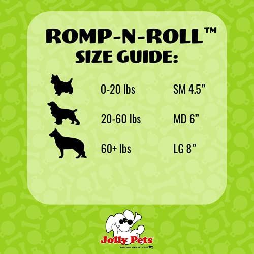 Jolly Pets Romp-n-Roll bounce action photo highlights high-energy play.