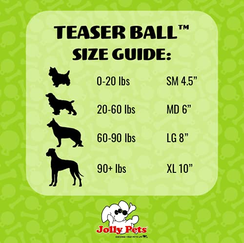 Jolly Pets Teaser Ball dog toy in play, floating for water retrieves and backyard fun.