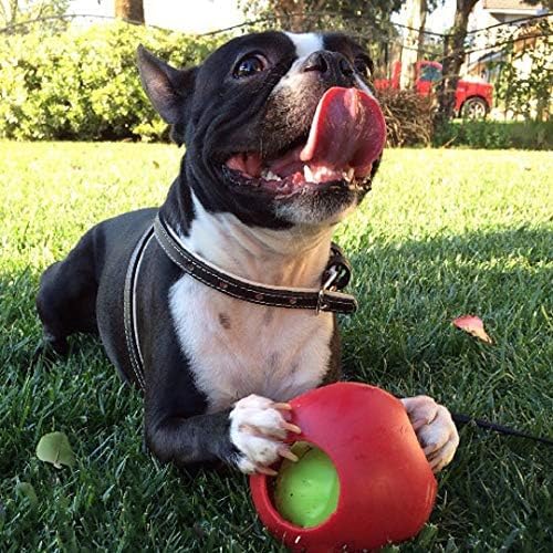 Jolly Pets Teaser Ball small red floats for water retrieval games.