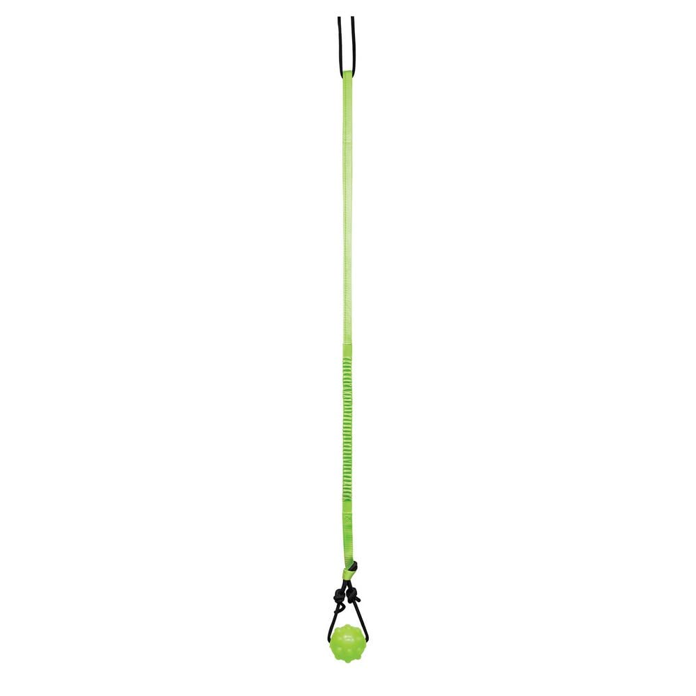 Jolly Pets Tree Tugger setup on a tree stand enables adjustable height solo play.