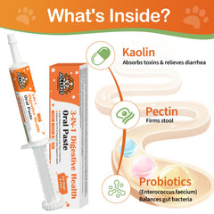 Jollyfit antidiarrheal dog paste chicken flavor close-up for easy administration.