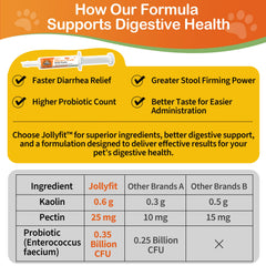 Jollyfit antidiarrheal dog paste smooth texture highlighting simple administration.