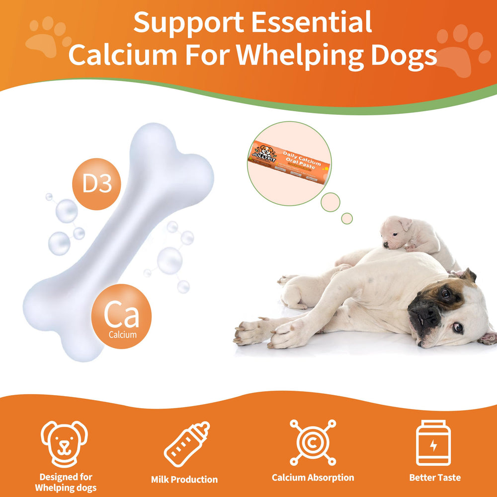 Jollyfit calcium formula with vitamins D3 and B6 magnesium for overall pet health.