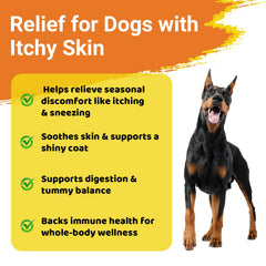 Jollyfit Dog Allergy Chews ingredients label highlighting immune-supporting components