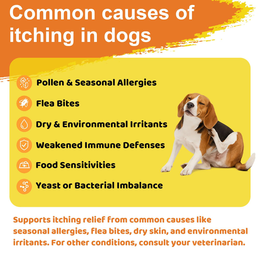 Jollyfit Dog Allergy Chews demonstrates paw relief and healthier skin cues