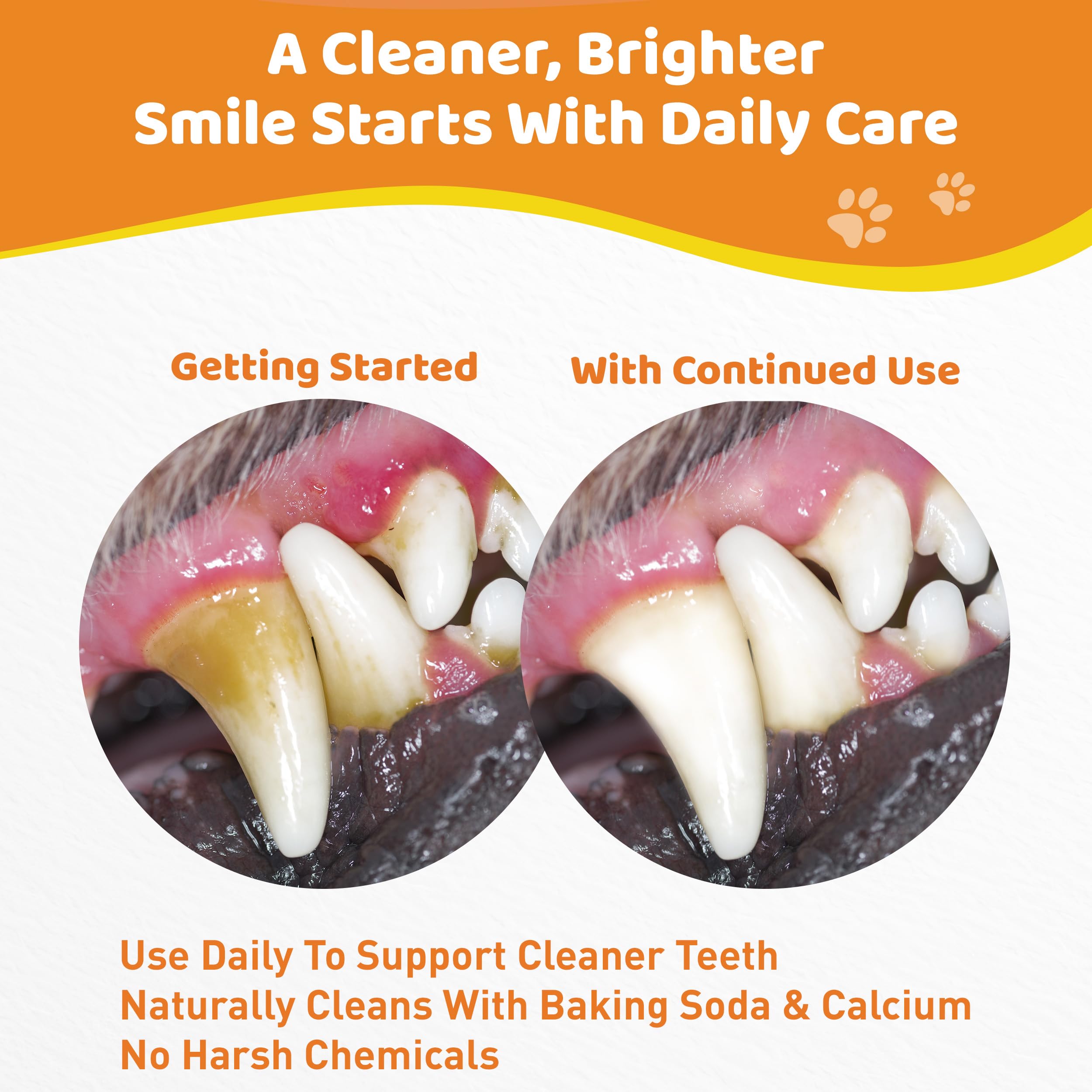 Jollyfit Dog Teeth Cleaning Powder in a dog bowl shows tastiness and routine integration