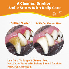Jollyfit Dog Teeth Cleaning Powder in a dog bowl shows tastiness and routine integration