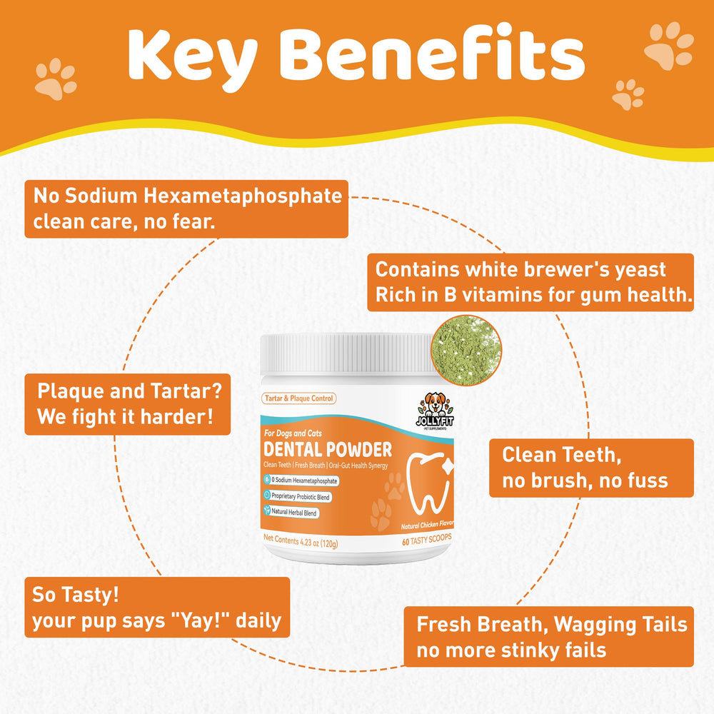 Jollyfit Dog Teeth Cleaning Powder jar closeup highlights probiotic ingredients for oral balance