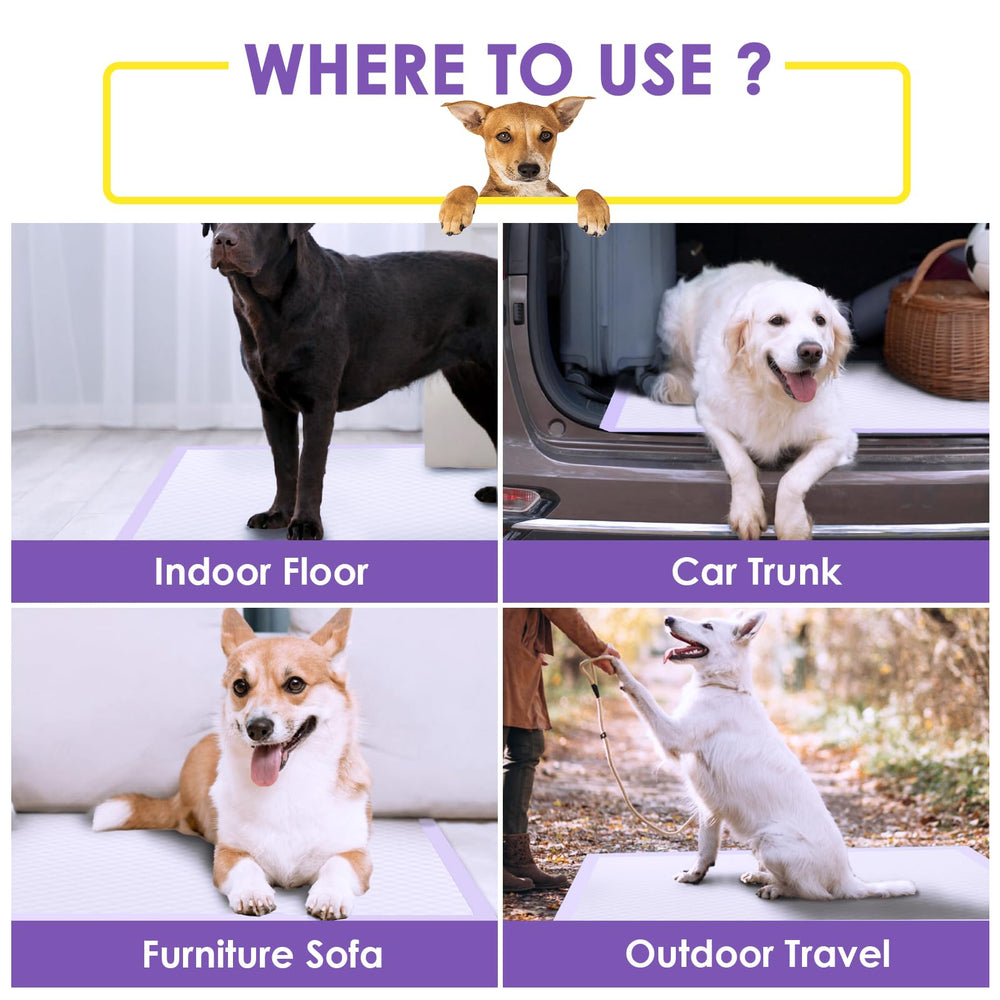 JollyMate 30-count pack offers ample training supplies for pets