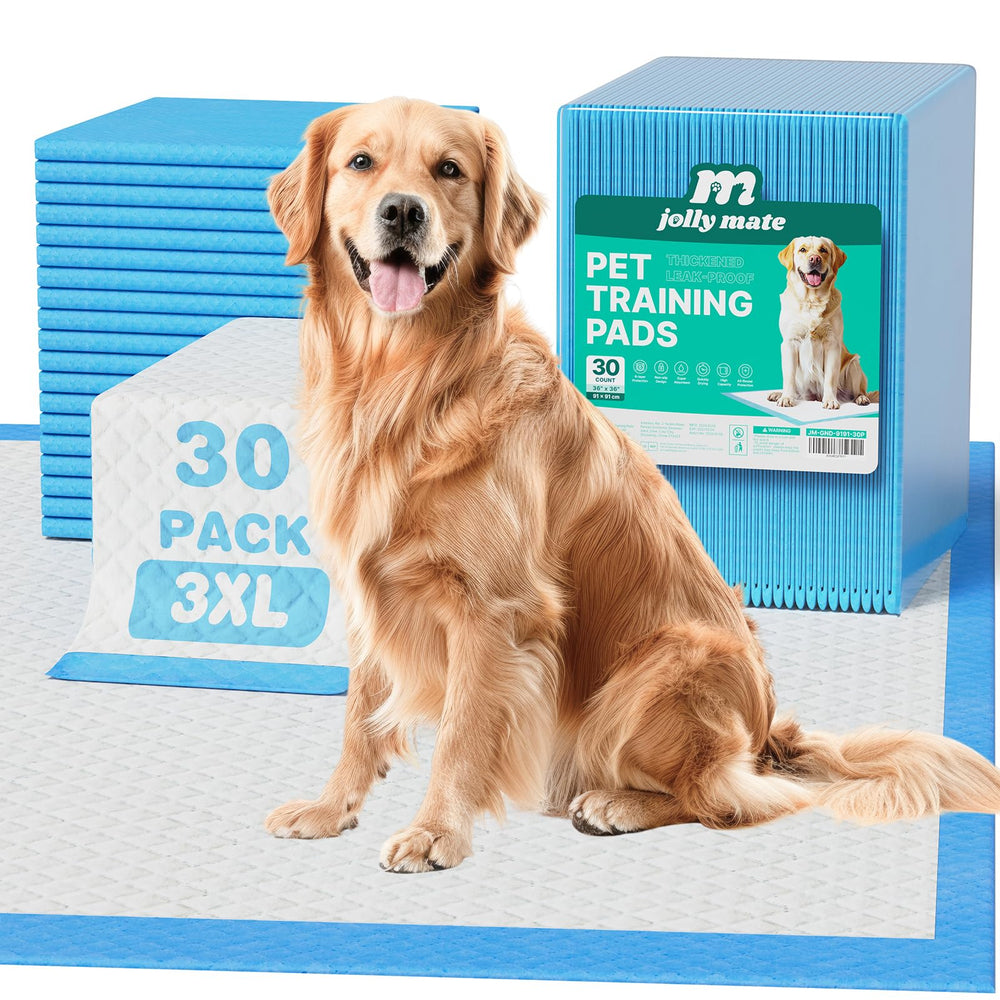 JollyMate 6-layer dog pee pad provides strong absorption for training.