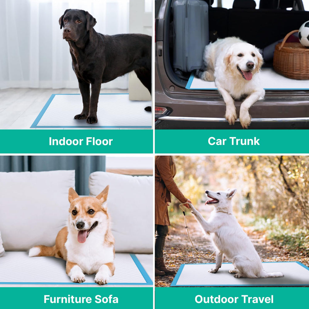 JollyMate versatile pad for indoor and outdoor use with easy cleanup.