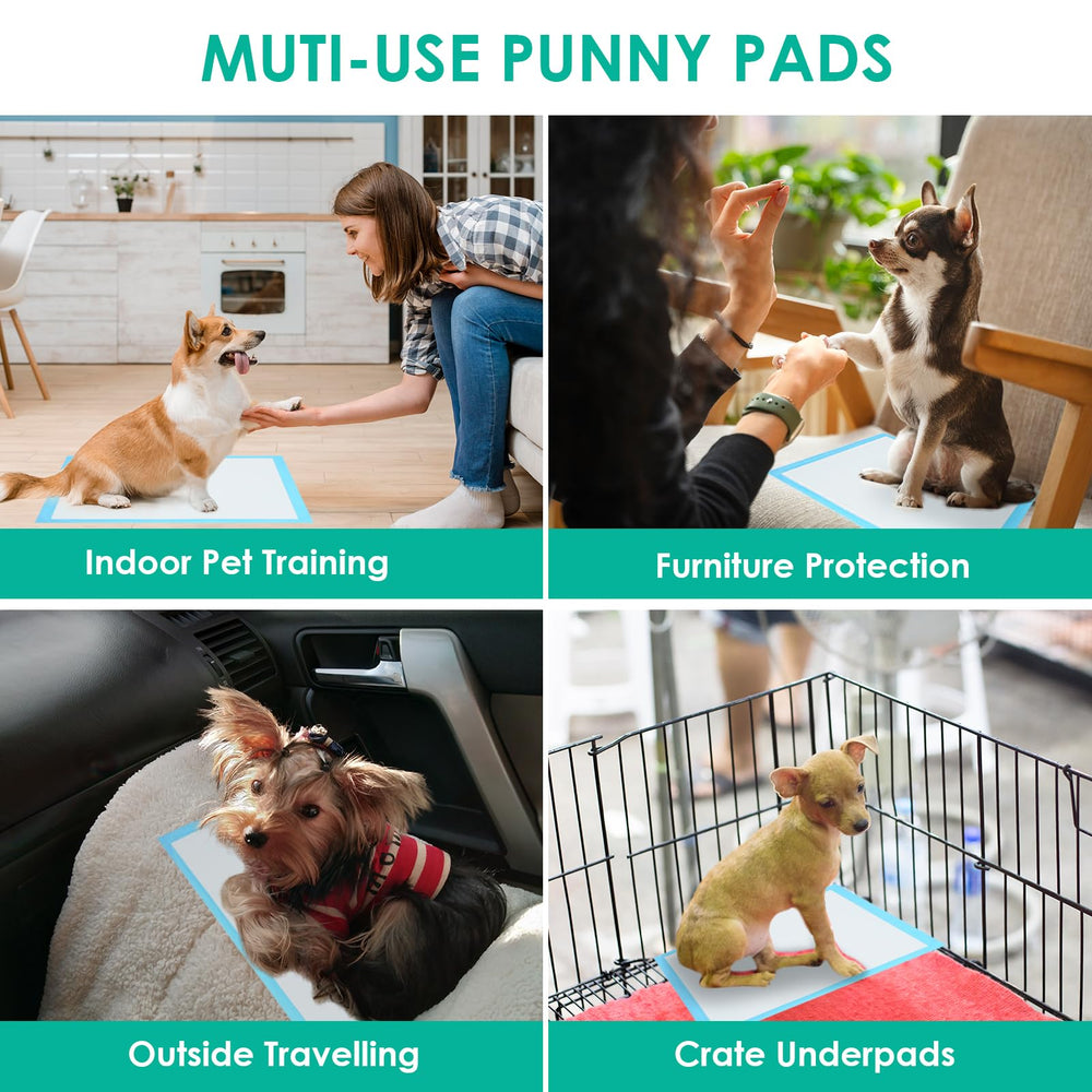 JollyMate pads suitable for small dogs, cats, rabbits in daily use