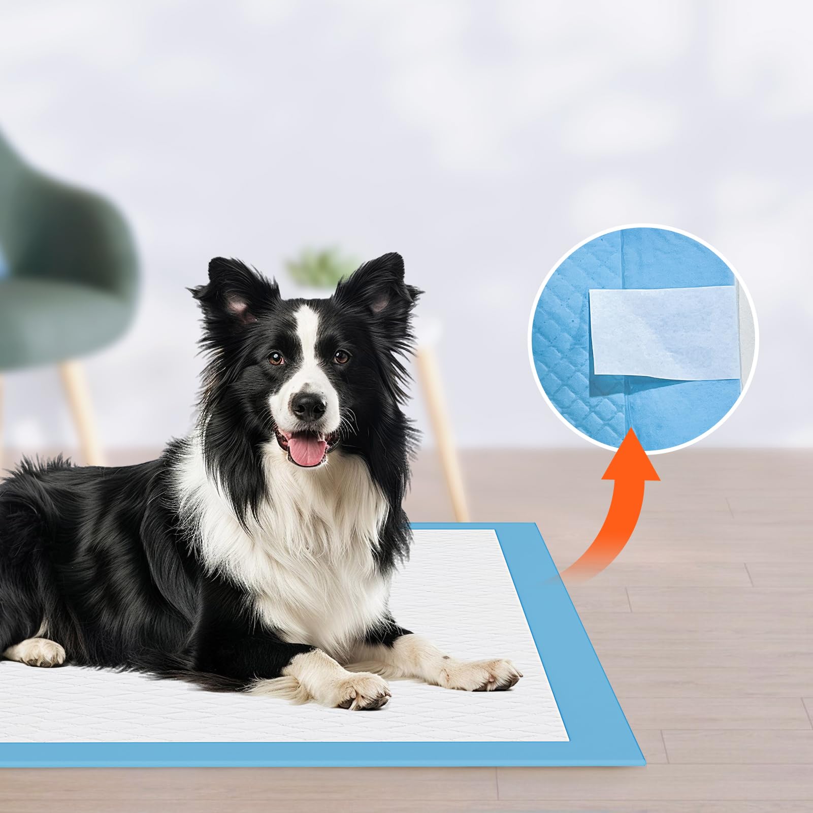 JollyMate XL 36x36 pad suits large dogs and puppies for indoor training.