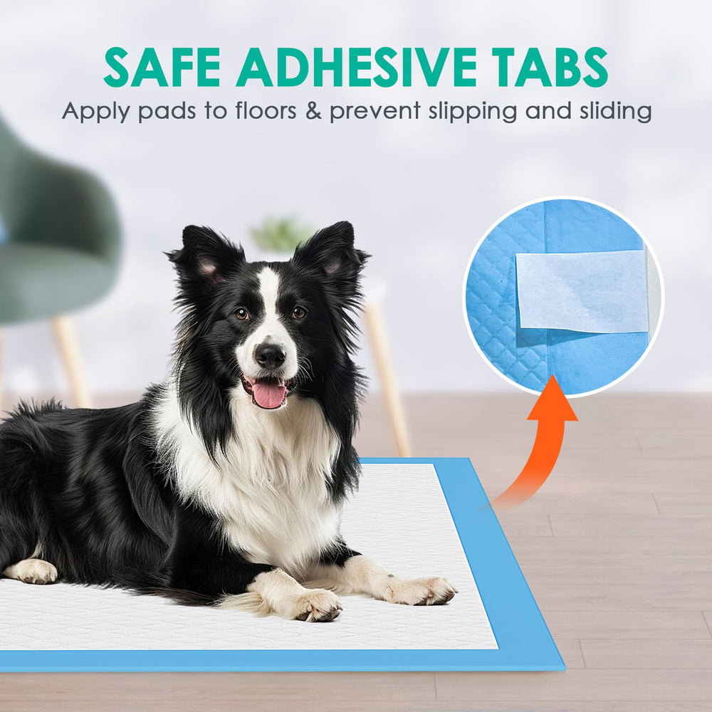 JollyMate XL 28x34 pad laid flat for versatile indoor or outdoor use.