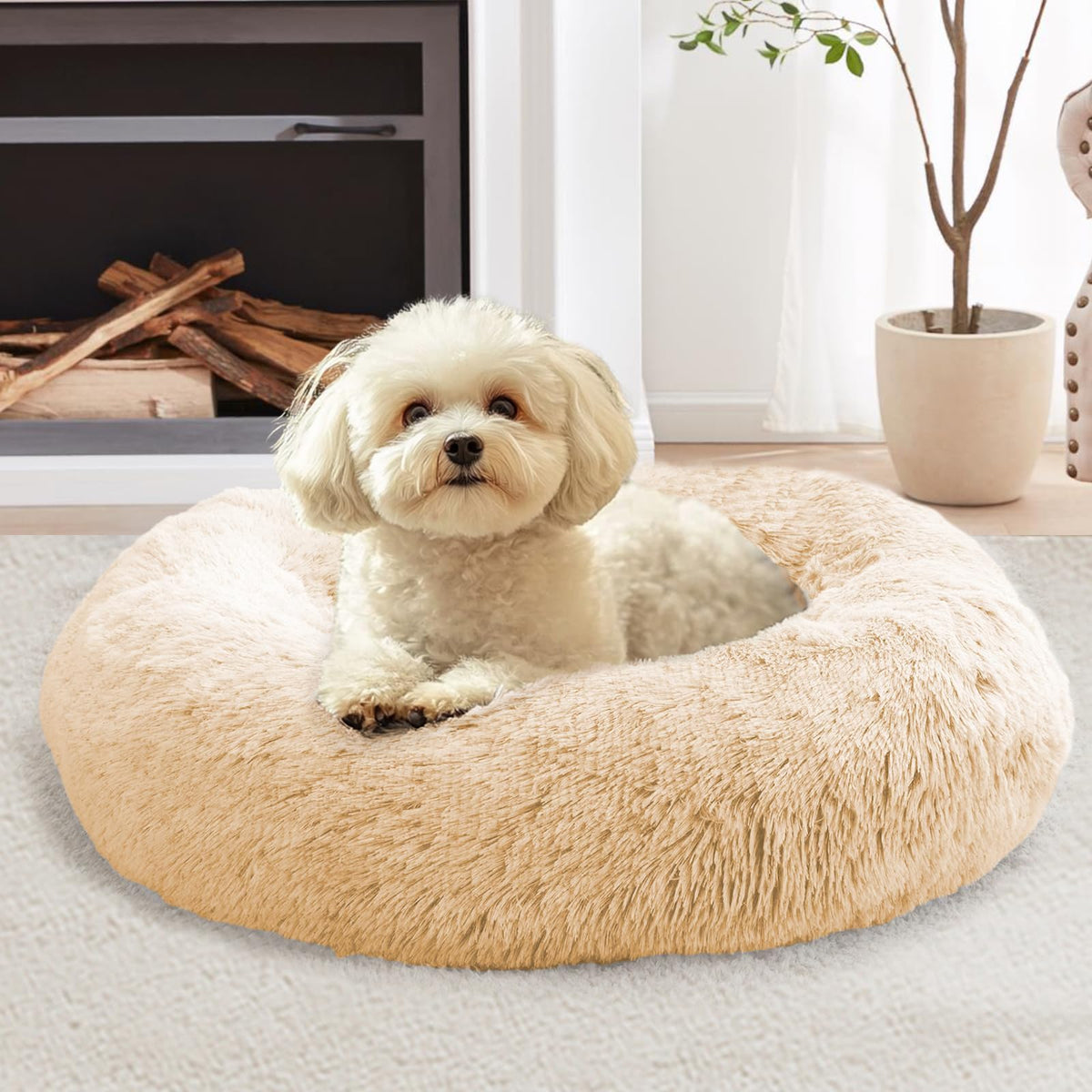 JOLLYVOGUE donut bed front view shows cozy round design for kittens and small pets
