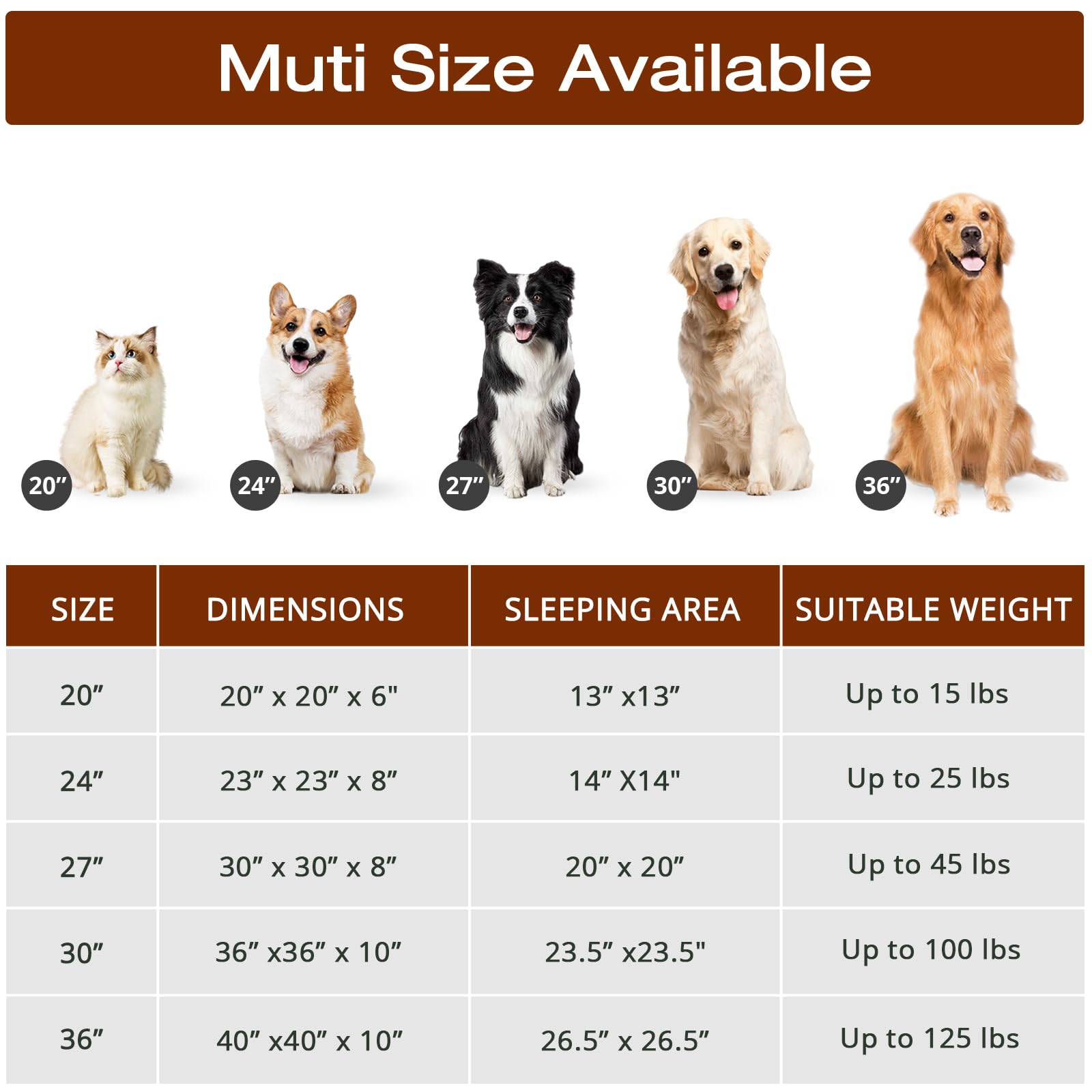 JOLLYVOGUE cat snuggling in donut bed demonstrates versatile use.