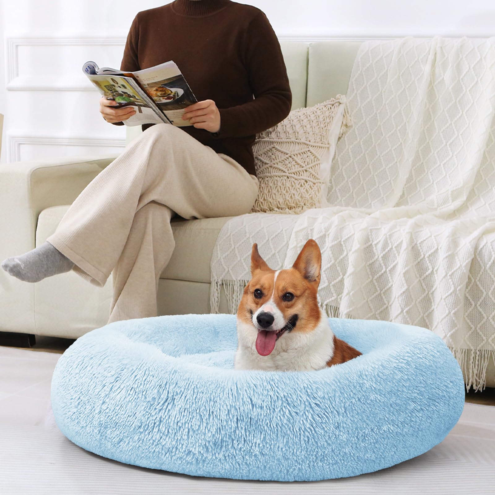 JOLLYVOGUE Donut Bed offered in multiple sizes for pets.