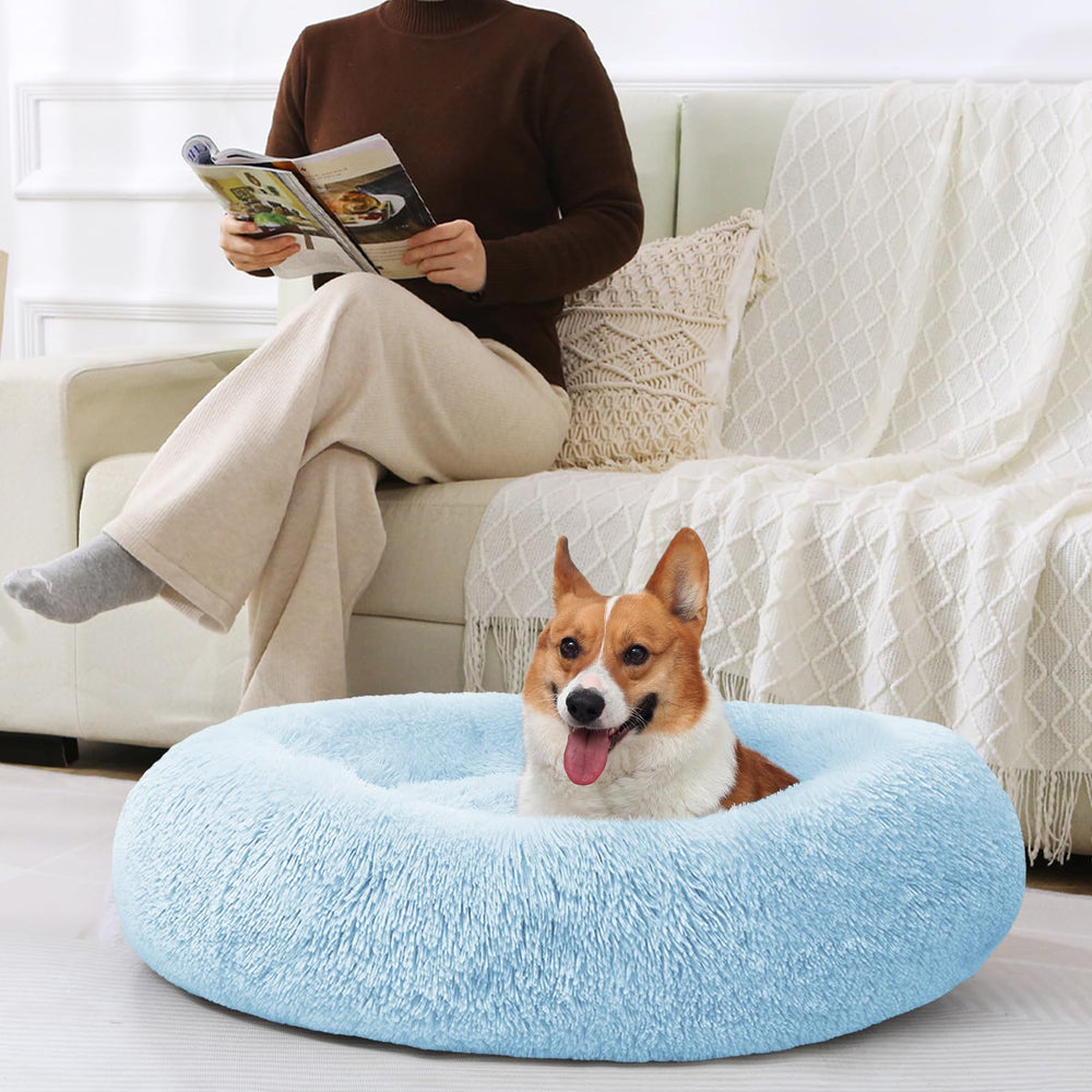 JOLLYVOGUE Donut Bed offered in multiple sizes for pets.