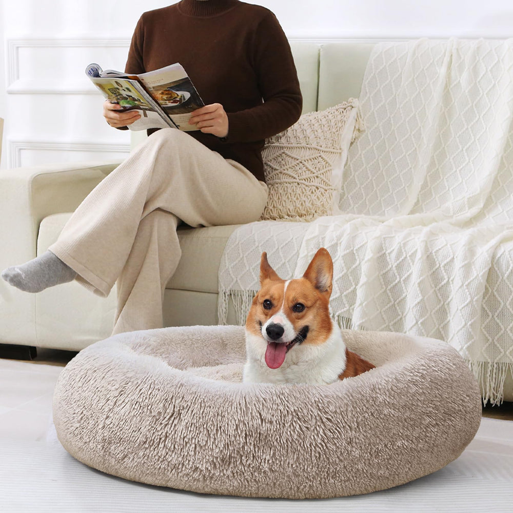 Donut bed shown in multiple sizes for small to medium pets