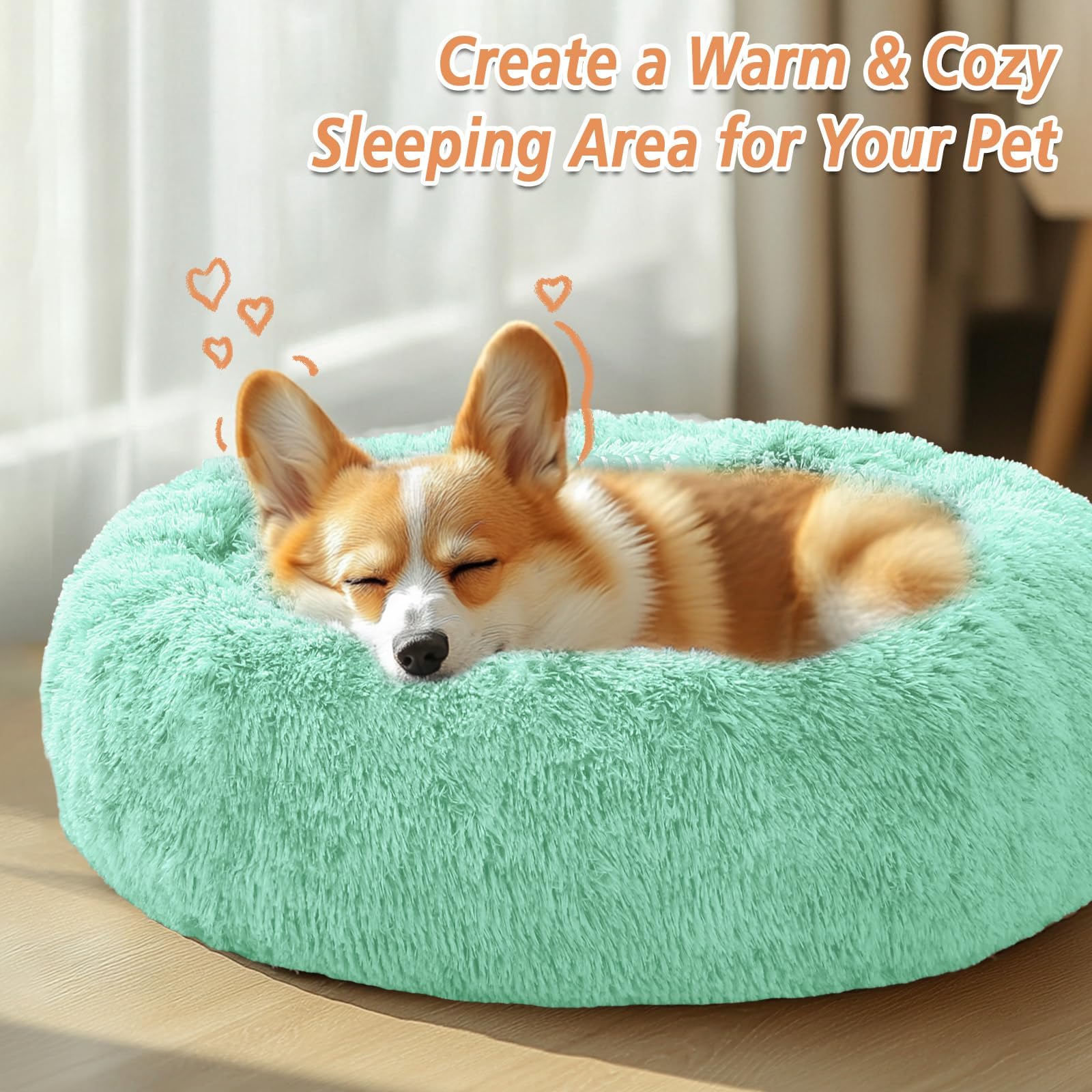 JOLLYVOGUE pet napping on bed demonstrates cozy retreat
