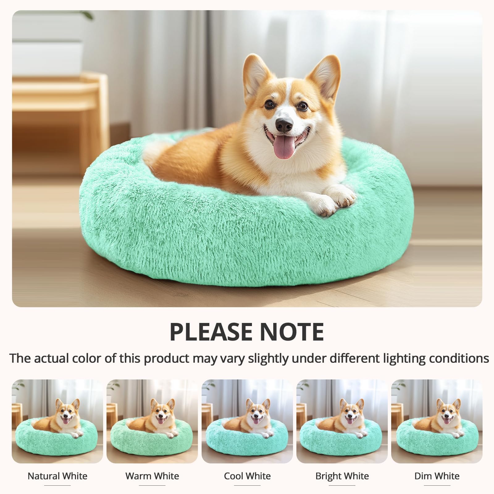 JOLLYVOGUE size guide image helps choose the right fit